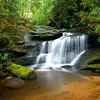 Image de Papier Peint Photo Waterfall Fts0478 Ag Design
