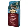 Image de Croquettes pour chat - CARNILOVE - Saumon - 6 kg - Aliment complet - Sans céréales