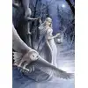 Image de Art Puzzle Puzzle Midnight Messenger - 1000 Pièces Fantasy