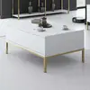 Image de Lord Table Basse 100 % Mélamine Blanc, Or