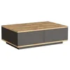 Image de Table basse avec 2 portes - Naturel et Anthracite - LOTULA