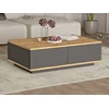 Image de Table basse avec 2 portes - Naturel et Anthracite - LOTULA