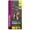 Image de Eukanuba Large Adult Pour Chien 15kg+3kg