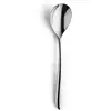 Image de Ensemble De Cuillères Amefa Cuba (12 Pcs) Acier Inoxydable