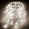 Image de Cordon Lumineux Animé - Luminéo - 9m - Blanc Chaud Transparent - 20 Ampoules - Extérieur