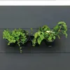 Image de Kit De Fleurs Et D'herbes/jardin Vertical Nature