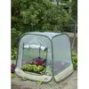 Image de Serre De Jardin Pop-up - 100x100x100 Cm - Pe Transparent - Protection Anti-uv