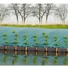 Image de Toile de paillage paysages verte 1 x 25 m - traité anti UV 100 g/m² - Bâche de sol anti mauvaises herbes