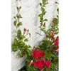 Image de Treillis métallique - NATURE - Kit de palissage pour plantes grimpantes - fil de fer galvanisé Ø18 mm x 10 m