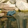 Image de Ubbink Cracheur de bassin en forme de grenouille 12 cm 1386008