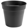 Image de Pot Green Basics Living Noir Design Écologique Et Robuste - Elho - - Import > Dsm