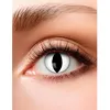 Image de Lentilles de contact Oeil de Chat - Boland - Blanc/Noir - Halloween et Frisson - Mixte