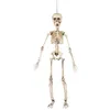 Image de Squelette articulé à suspendre Halloween