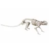 Image de Décoration - BOLAND - Rat Squelette - 35 cm - Blanc - Pour Halloween