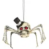 Image de Décoration Crâne Araignée - Halloween