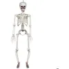 Image de Squelette à suspendre - BOLAND - 90cm - Articulé - Décoration Halloween - Mixte