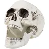 Image de Décoration squelette 24 x 18 cm Halloween - 228368 (Taille Unique)
