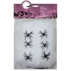 Image de TOILE ARAIGNEE 100GR BLANC+ 6 ARAIGNEES