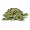 Image de - Moyenne Tortue De 23 Cm
