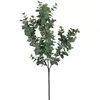 Image de Couleur Vert Eucalyptus 65 Cm