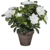 Image de Azalée Artificielle Blanche En Gris Tiesto Ø11,5cmx27xø20cm