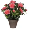Image de Azalea Pêche Artificielle En Pot Gris Ø11,5cmx27xø20cm