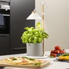 Image de Lampe De Culture De Jardin À Led 9 W Blanc Smartwares