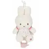 Image de Little Dutch Nijntje Lucky Blossom Boîte À Musique Enfant