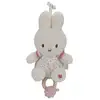 Image de Boîte à musique miffy - lucky blossom NIJN365