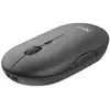 Image de Souris Trust 24059