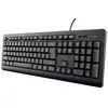 Image de Trust Tk-150 Clavier Bureau Usb Français Noir