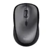 Image de Souris Trust 24549
