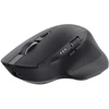 Image de Souris Trust 24820