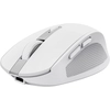 Image de Trust Ozaa Souris Bureau Droitier Rf Sans Fil + Bluetooth Optique 3200 Dpi
