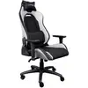 Image de Chaise de jeu trust gxt 714 ruya blanc noir