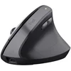 Image de Souris Trust 25145