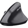 Image de Trust Tm-270 Souris Bureau Droitier Rf Sans Fil Optique 2400 Dpi