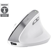 Image de Trust Bayo Ii Souris Bureau Droitier Rf Sans Fil Optique 2400 Dpi