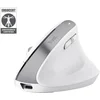 Image de Trust Bayo+ Souris Bureau Droitier Rf Sans Fil + Bluetooth Optique 2400 Dpi