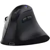 Image de Trust Vyran Souris Universel Droitier Rf Sans Fil + Bluetooth Optique 4800 Dpi