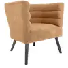 Image de Fauteuil De Salon Design Velours Explicit