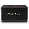 Image de Caliber HFG411BT Gold Brown - Enceinte compacte