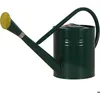 Image de Arrosoir Zinc Vert 7.5 L