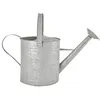 Image de Arrosoir en Zinc - ESSCHERT DESIGN - 35 L - Gris - Acier galvanisé - Manuel
