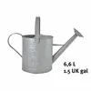Image de Arrosoir - 6,5l - Zinc
