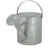 Image de Arrosoir En Métal Avec Pomme D'arrosage - Gris - 8,7 L