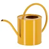 Image de Arrosoir en acier Nature shades - Vert - 131 L