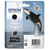 Image de Epson Cartouche Orque T7601 Noir