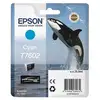 Image de Epson Cartouche Orque T7602 Cyan