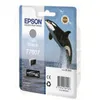 Image de Epson T7607 - noir clair - original - cartouche d'encre